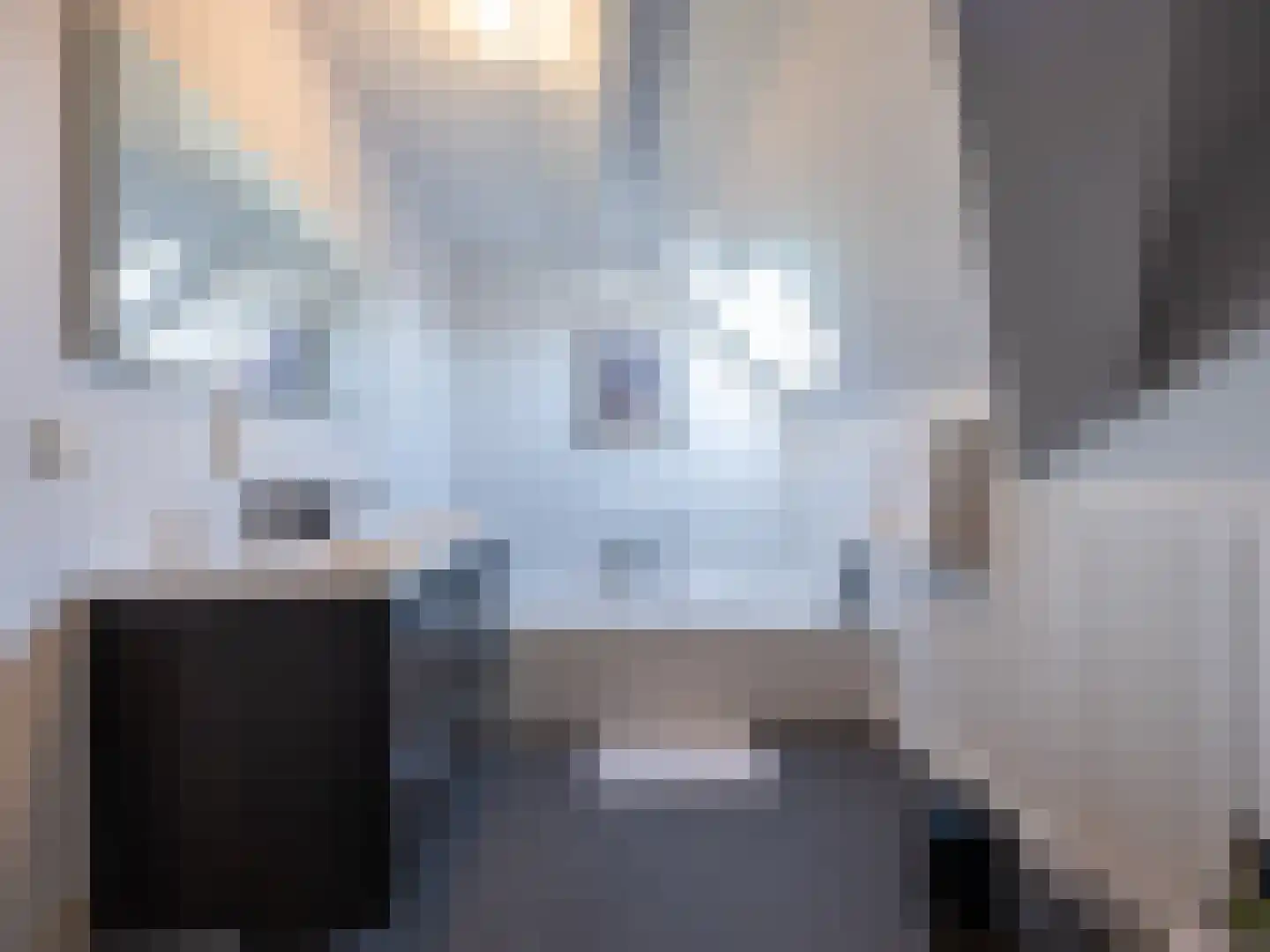 Grensweg 3960 Bree Stramproy thumbnail 22