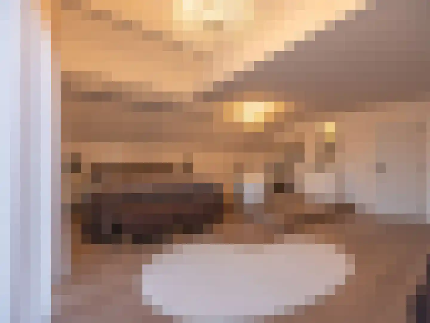 Grensweg 3960 Bree Stramproy thumbnail 24