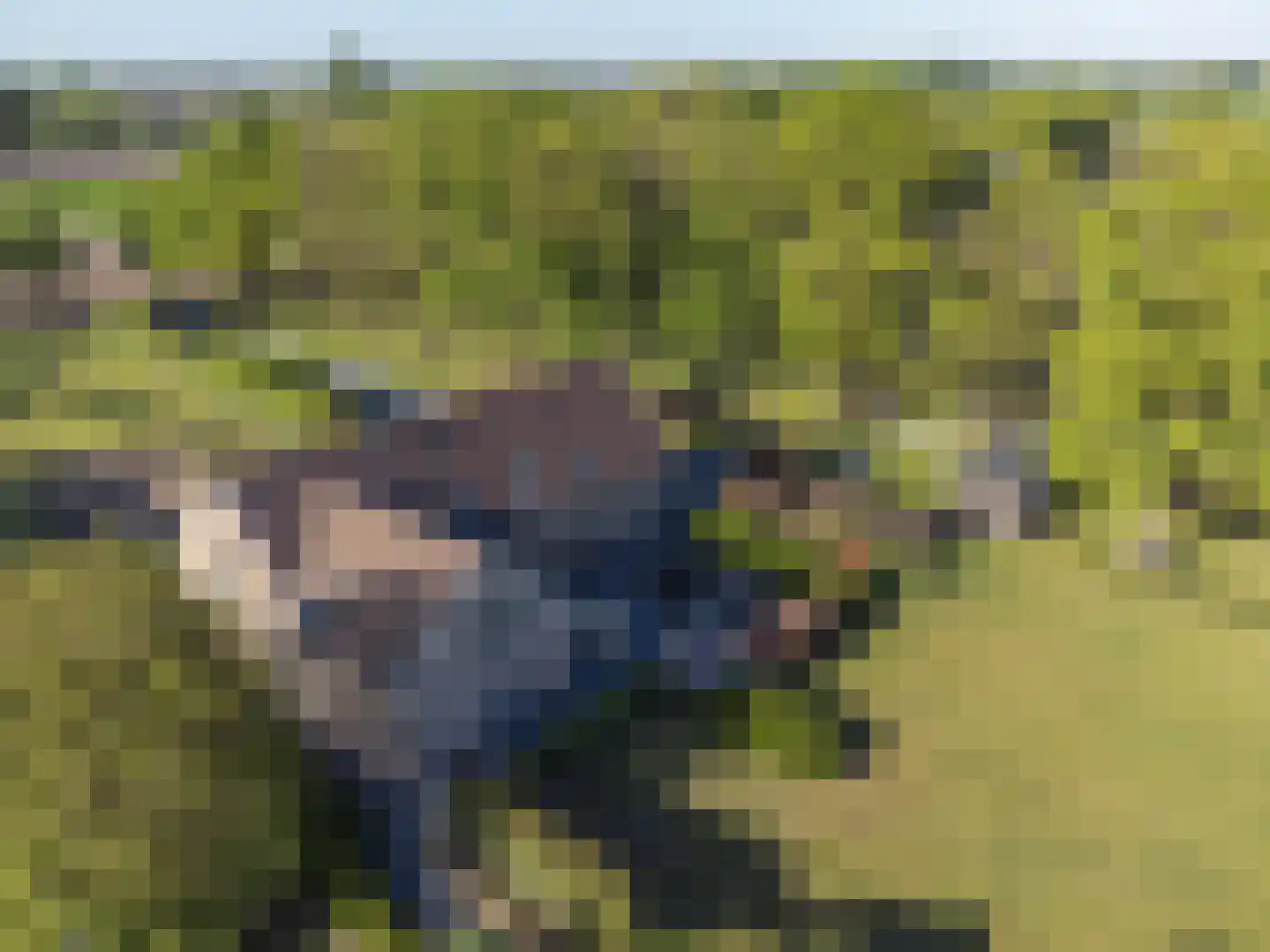 Grensweg 3960 Bree Stramproy thumbnail 25