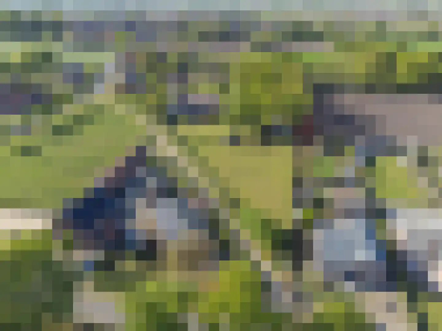 Grensweg 3960 Bree Stramproy thumbnail 26