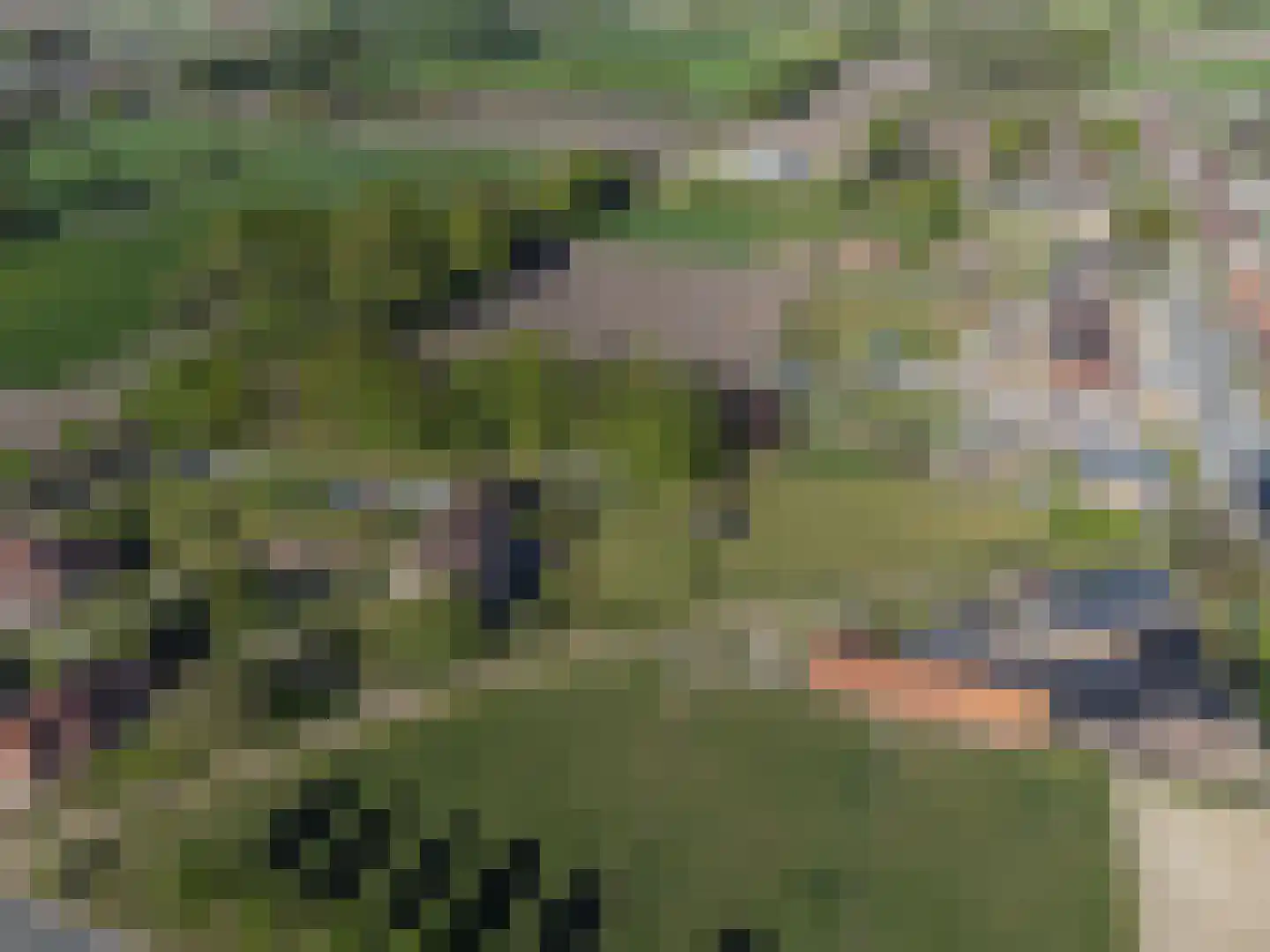 Grensweg 3960 Bree Stramproy thumbnail 28