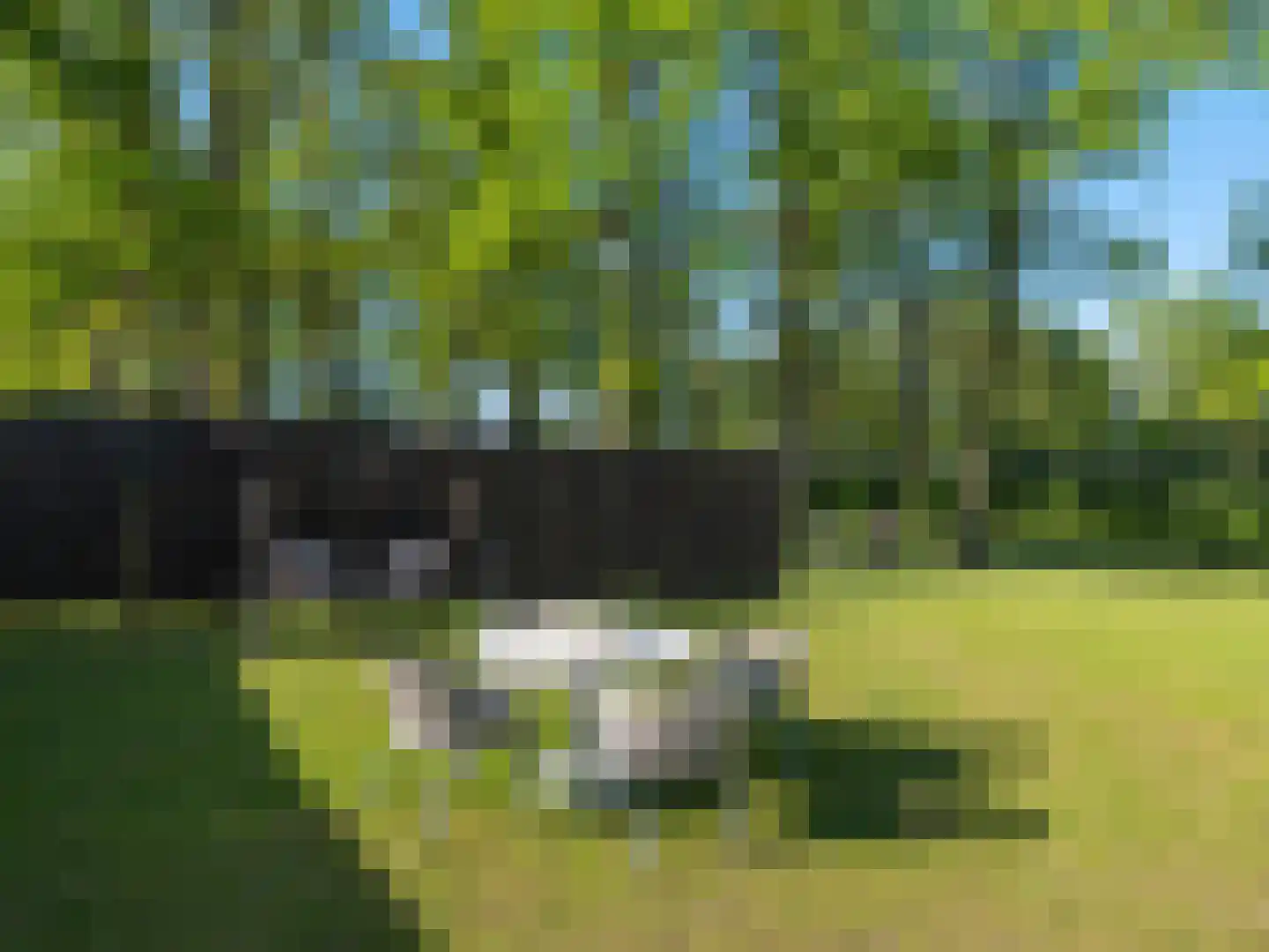 Grensweg 3960 Bree Stramproy thumbnail 35
