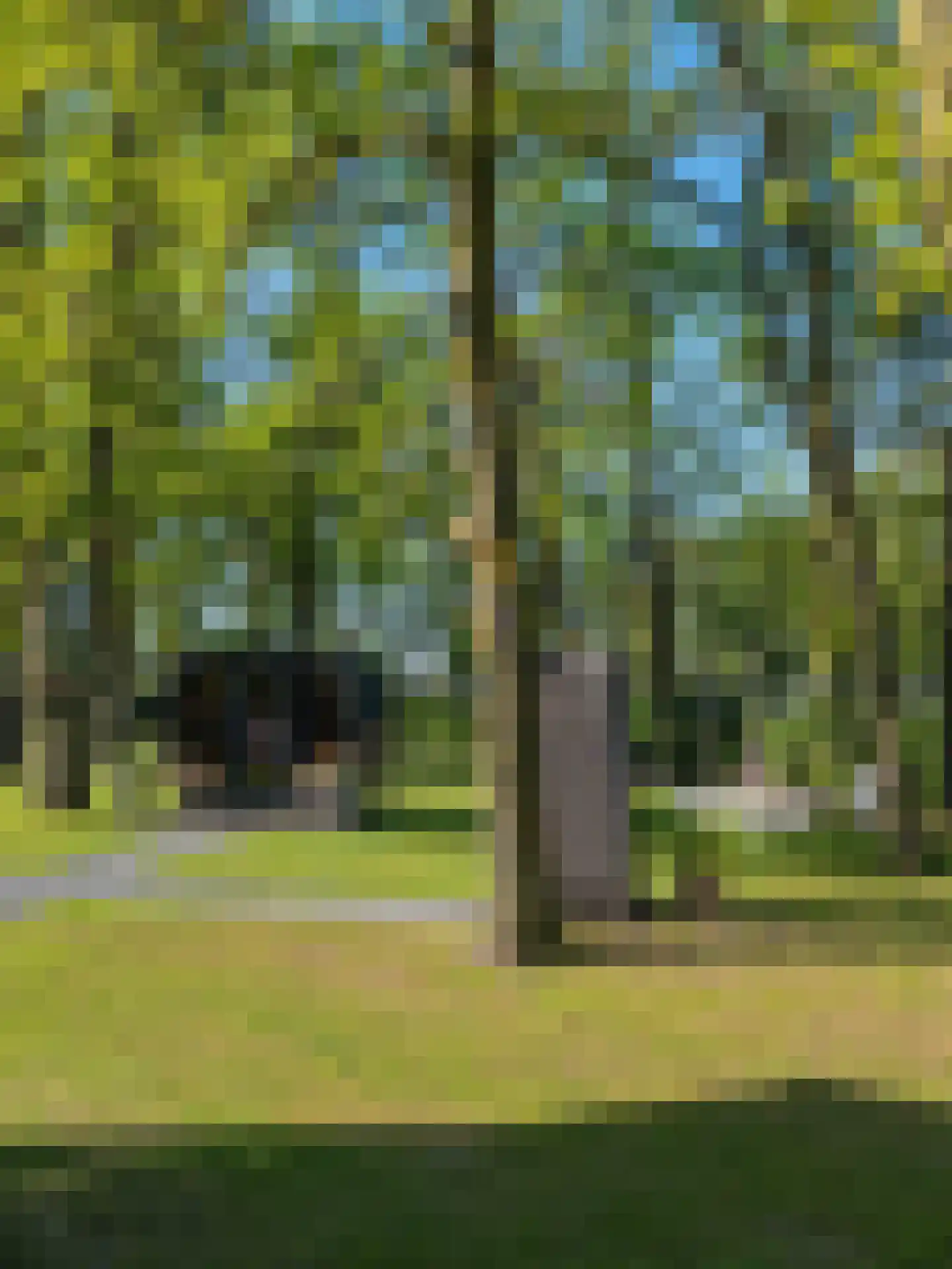 Grensweg 3960 Bree Stramproy thumbnail 37