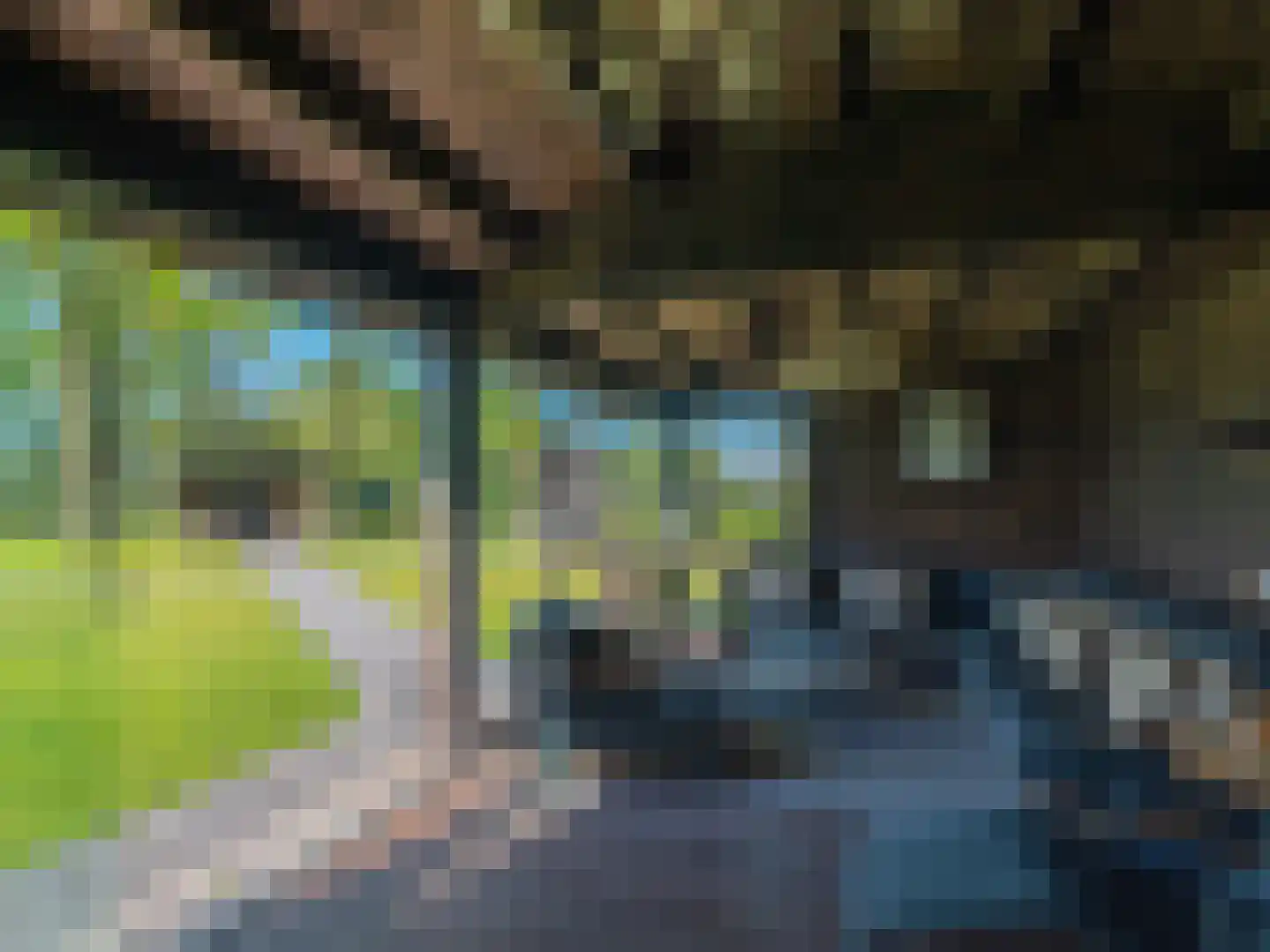 Grensweg 3960 Bree Stramproy thumbnail 42