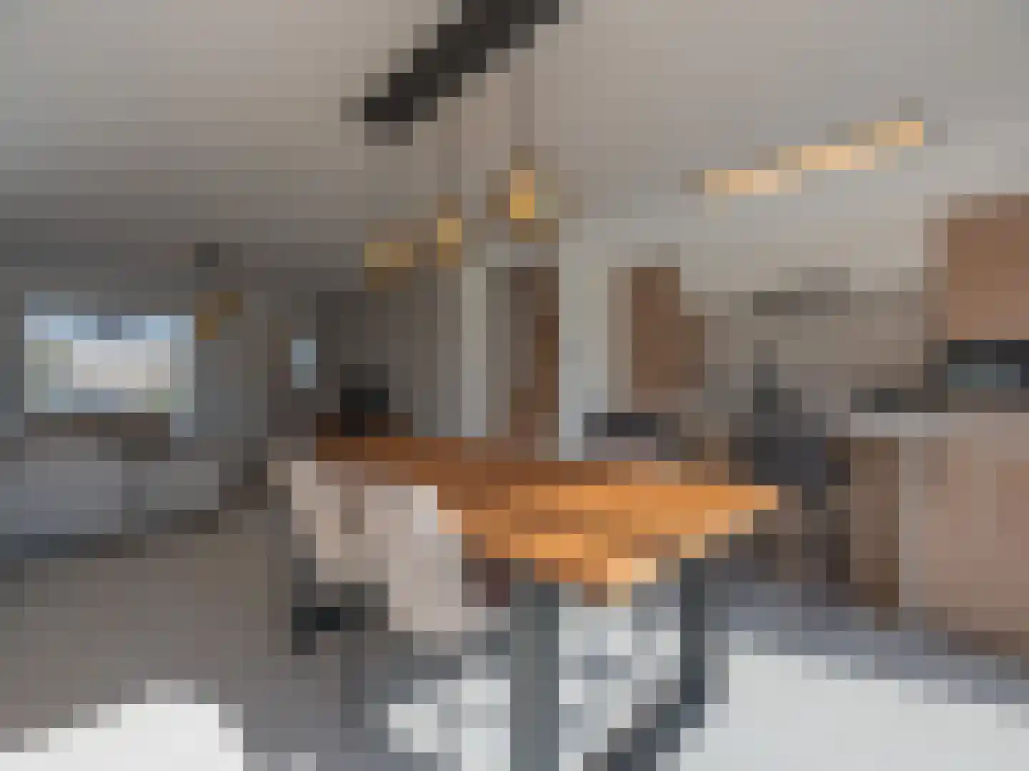 Grensweg 3960 Bree Stramproy thumbnail 5