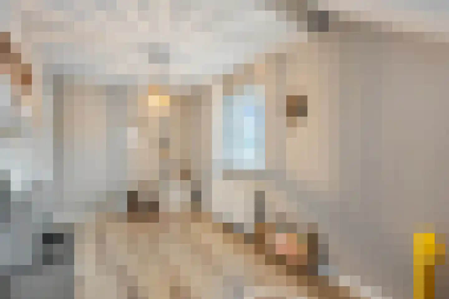 Grensweg 4 Slenaken thumbnail 26