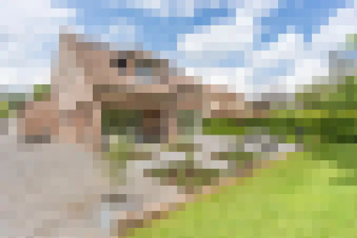 Grensweg 4 Slenaken thumbnail 41