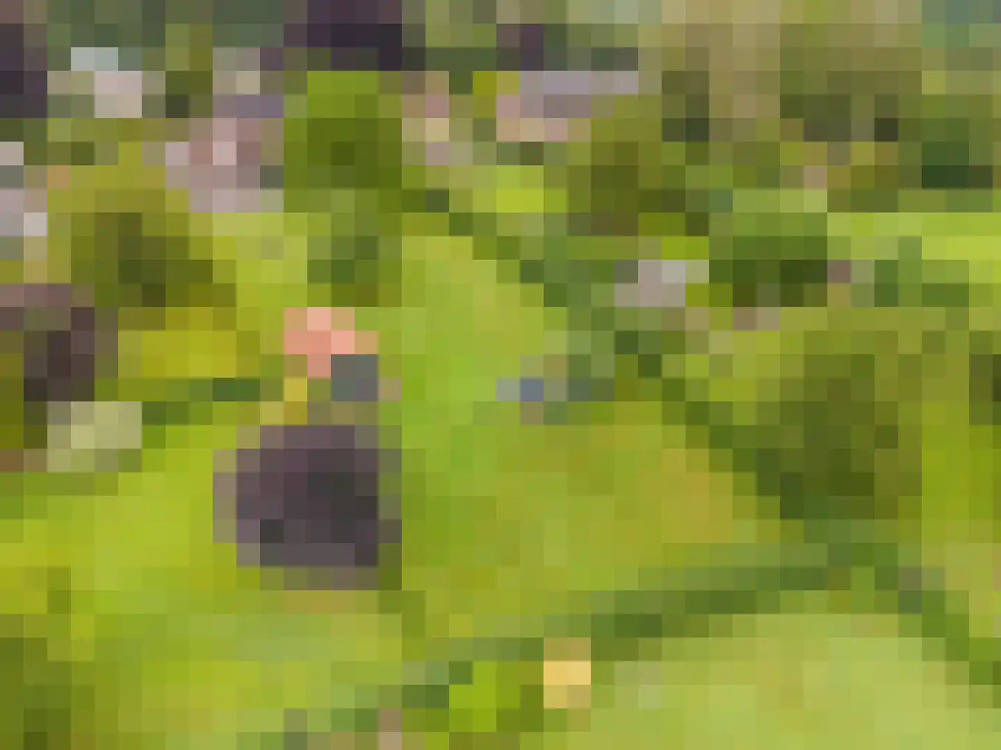 Grensweg 4 Slenaken thumbnail 46