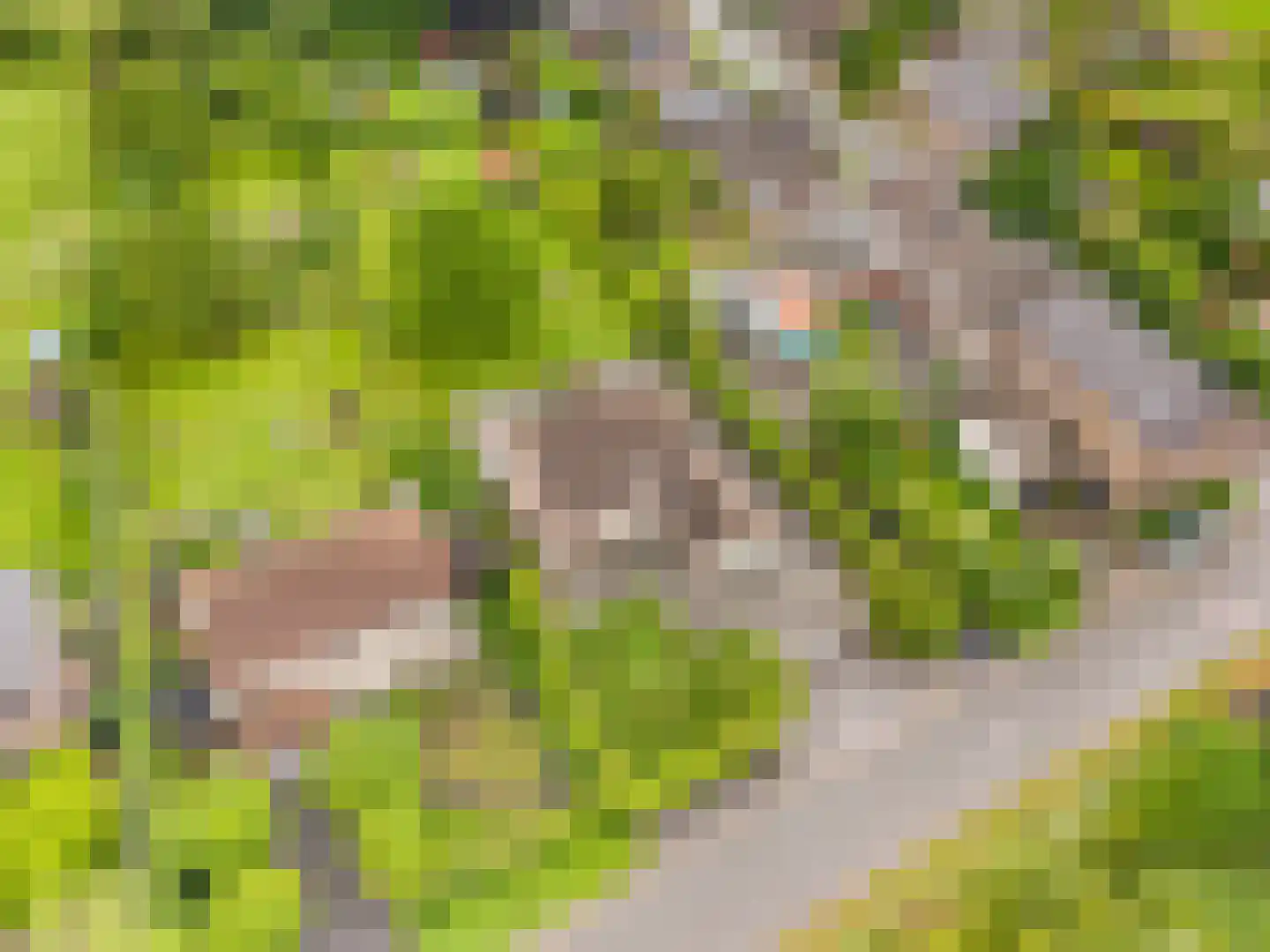 Grensweg 4 Slenaken thumbnail 47