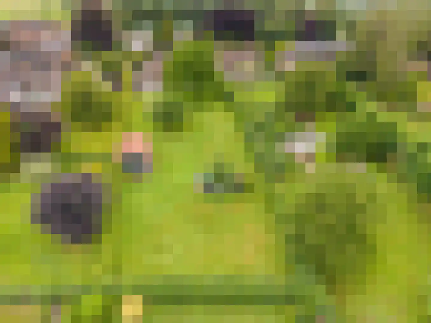 Grensweg 4 Slenaken thumbnail 48