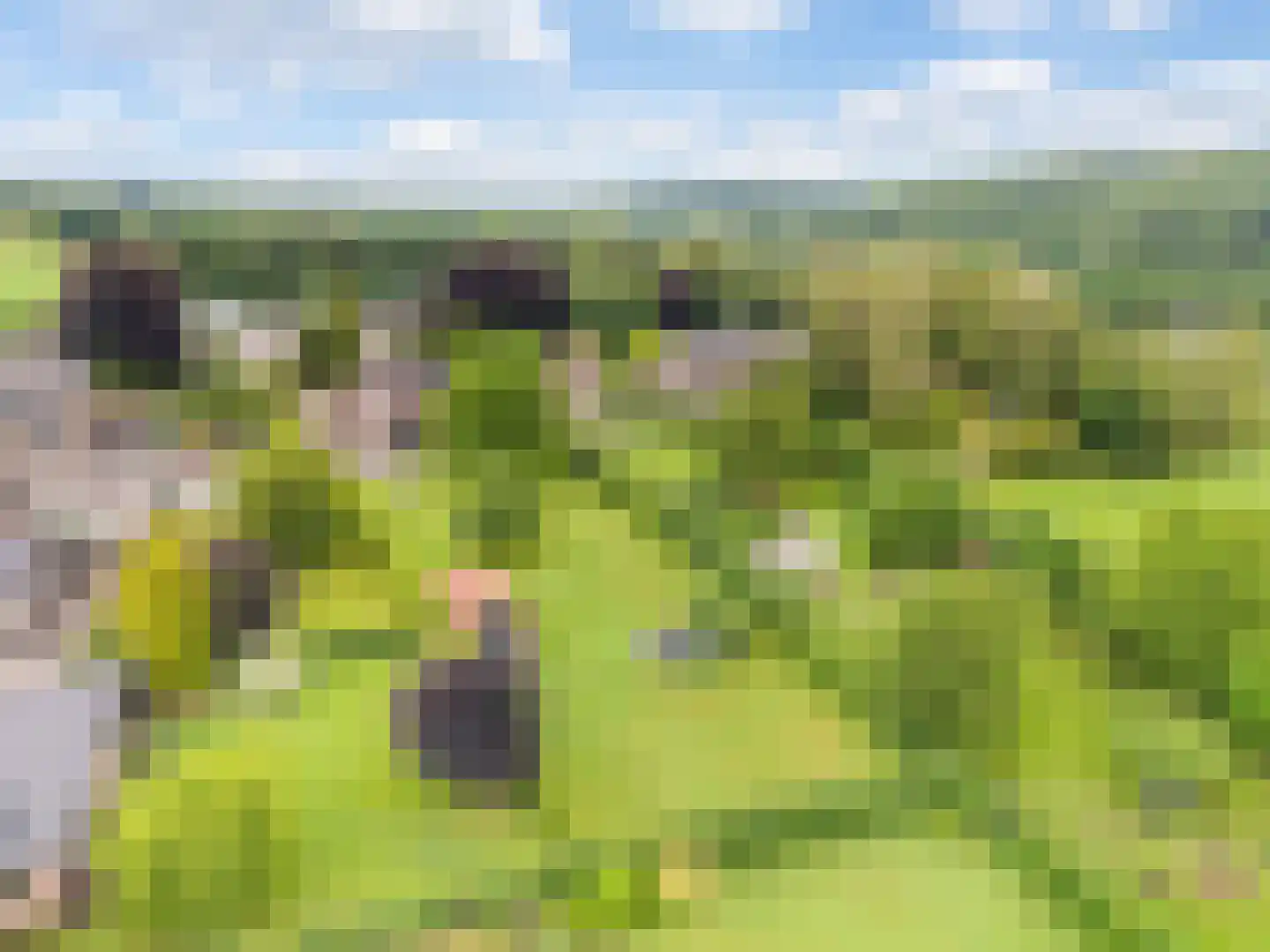 Grensweg 4 Slenaken thumbnail 49