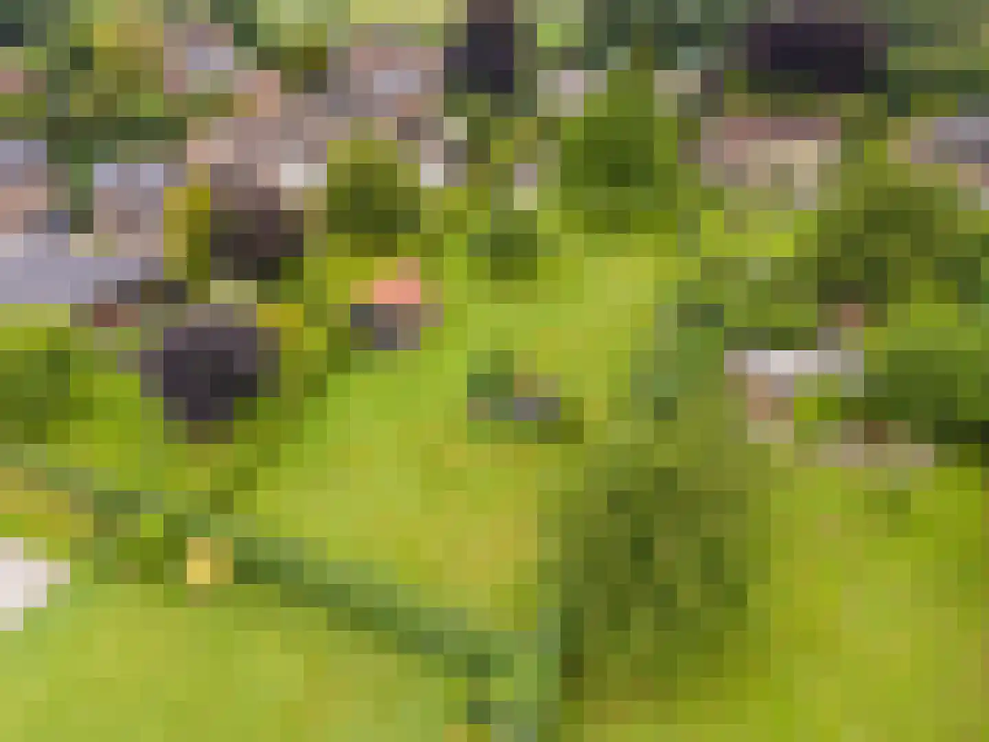 Grensweg 4 Slenaken thumbnail 50