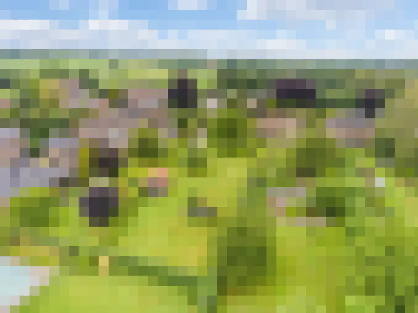Grensweg 4 Slenaken thumbnail 52