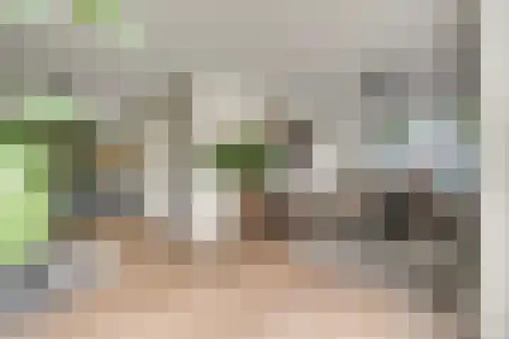 Grensweg 4 Valkenswaard thumbnail 18