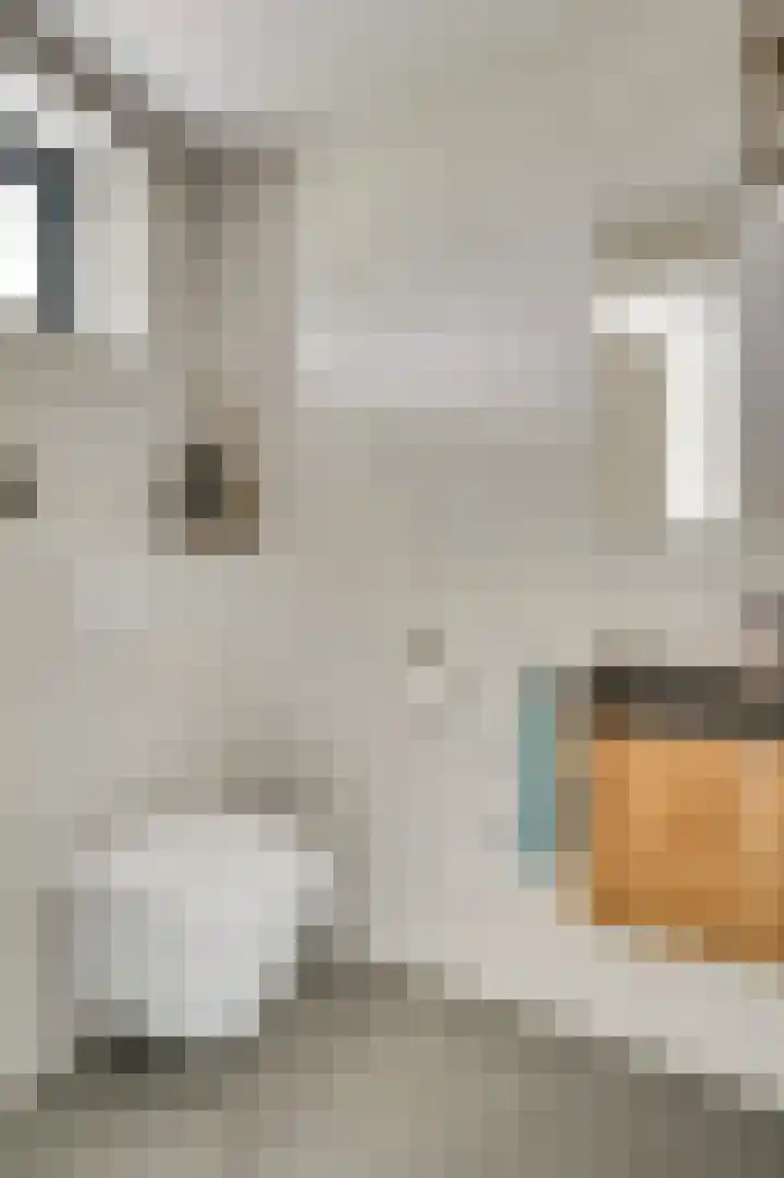 Grensweg 4 Valkenswaard thumbnail 32