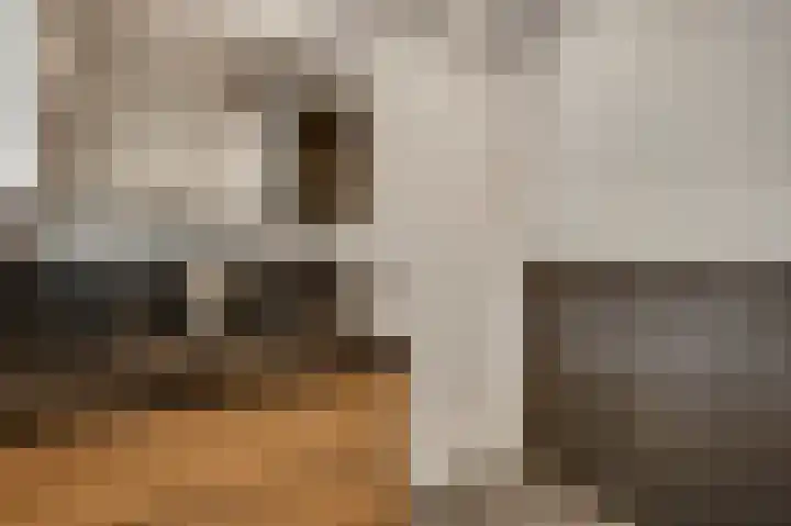 Grensweg 4 Valkenswaard thumbnail 38