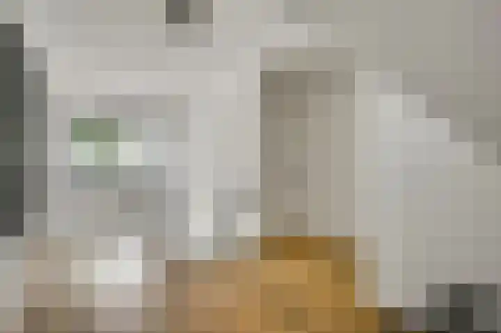 Grensweg 4 Valkenswaard thumbnail 39