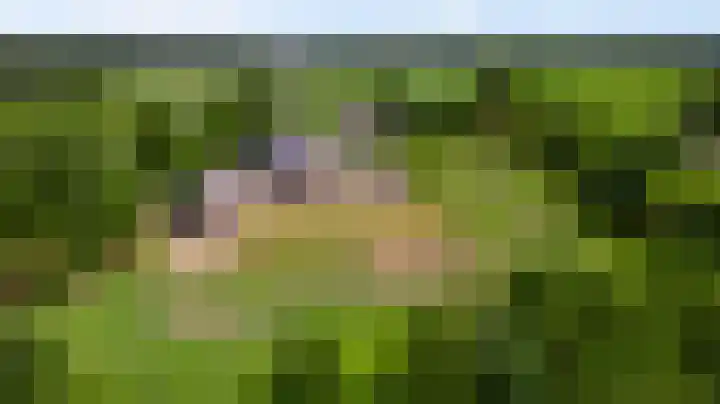 Grensweg 4 Valkenswaard thumbnail 4