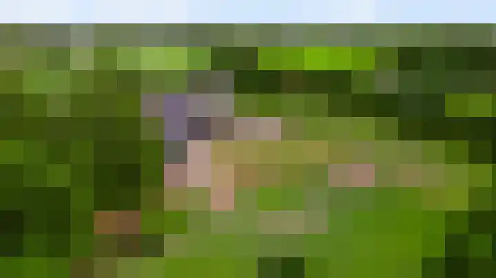 Grensweg 4 Valkenswaard thumbnail 5