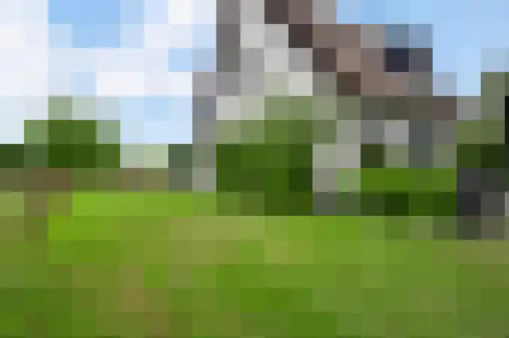 Grensweg 4 Valkenswaard thumbnail 55
