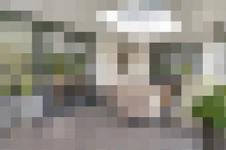 Grensweg 4 Valkenswaard thumbnail 56