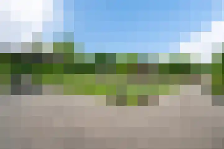 Grensweg 4 Valkenswaard thumbnail 57