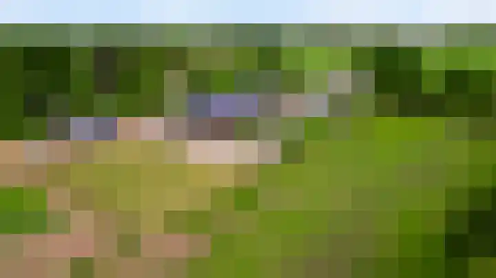 Grensweg 4 Valkenswaard thumbnail 6