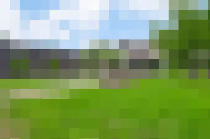 Grensweg 4 Valkenswaard thumbnail 62