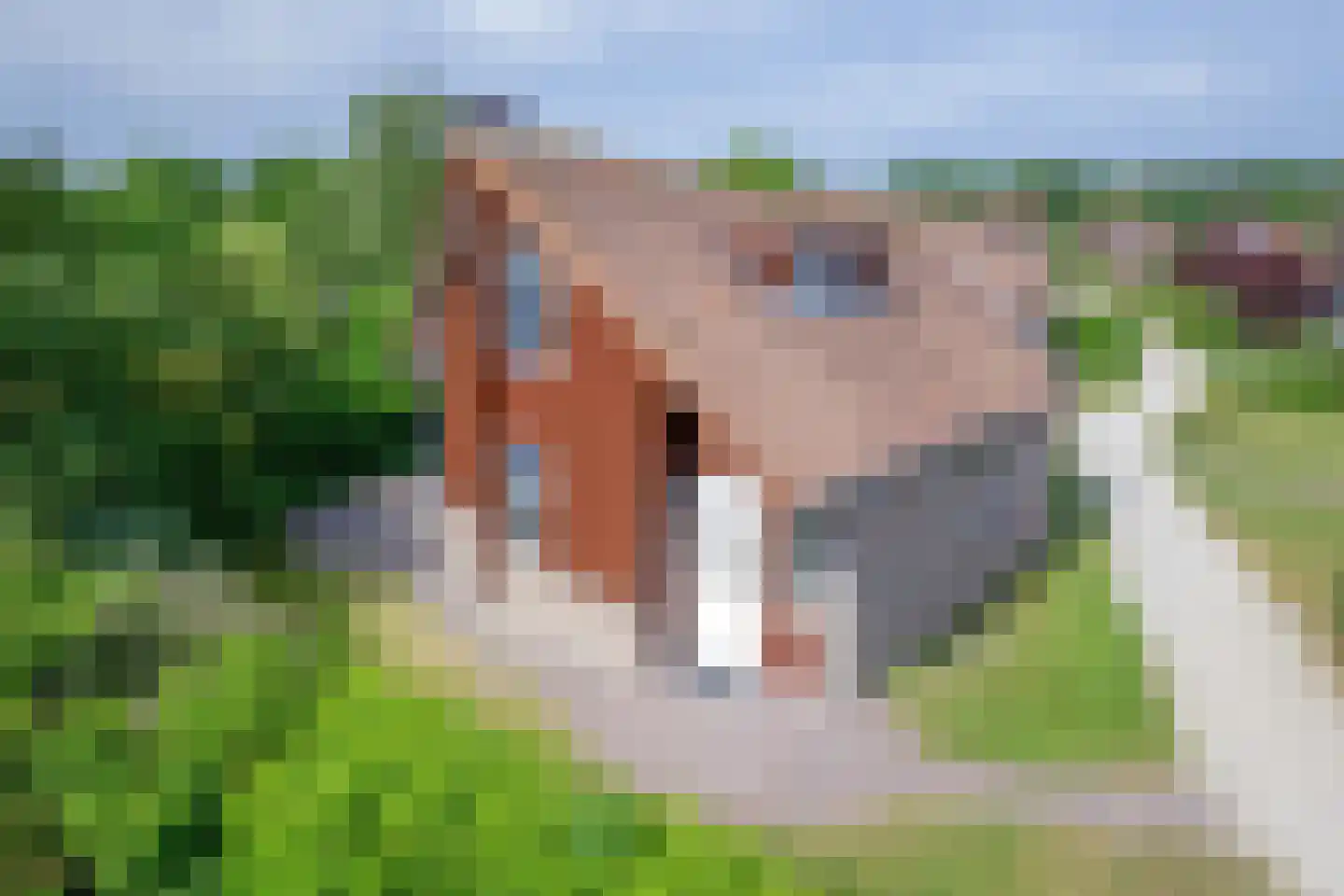 Grensweg 424 Den Burg