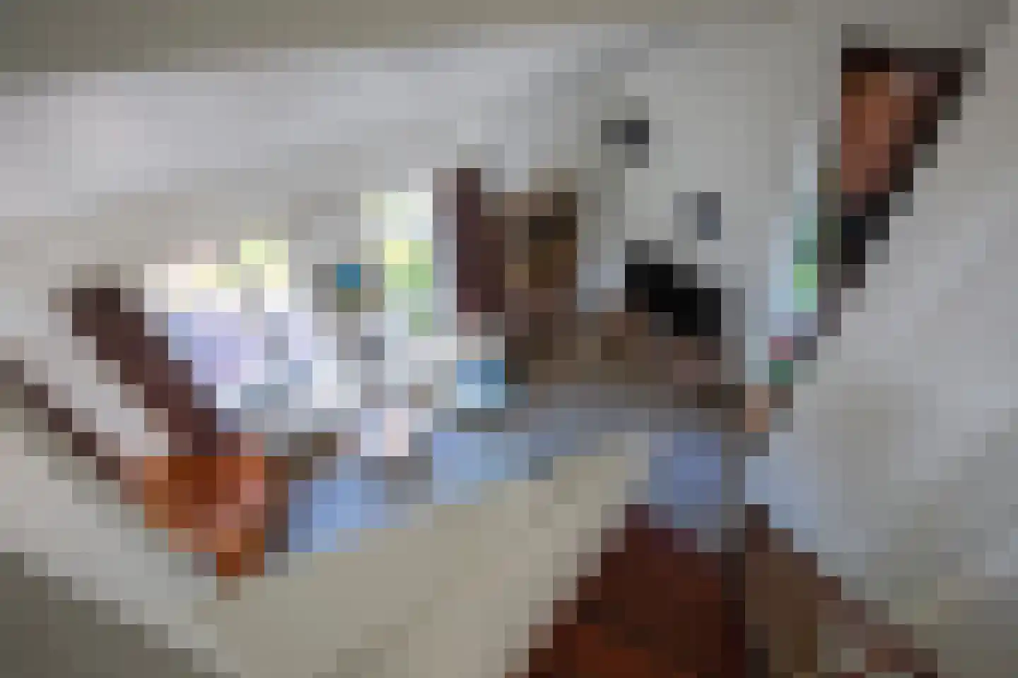 Grensweg 424 Den Burg thumbnail 18