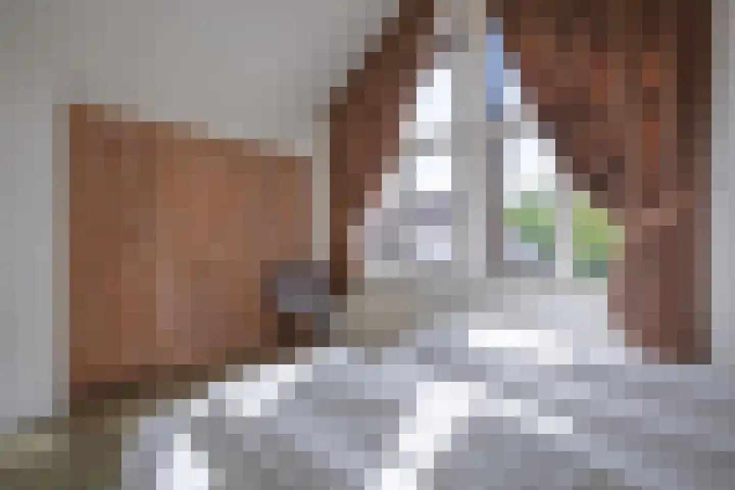 Grensweg 424 Den Burg thumbnail 20