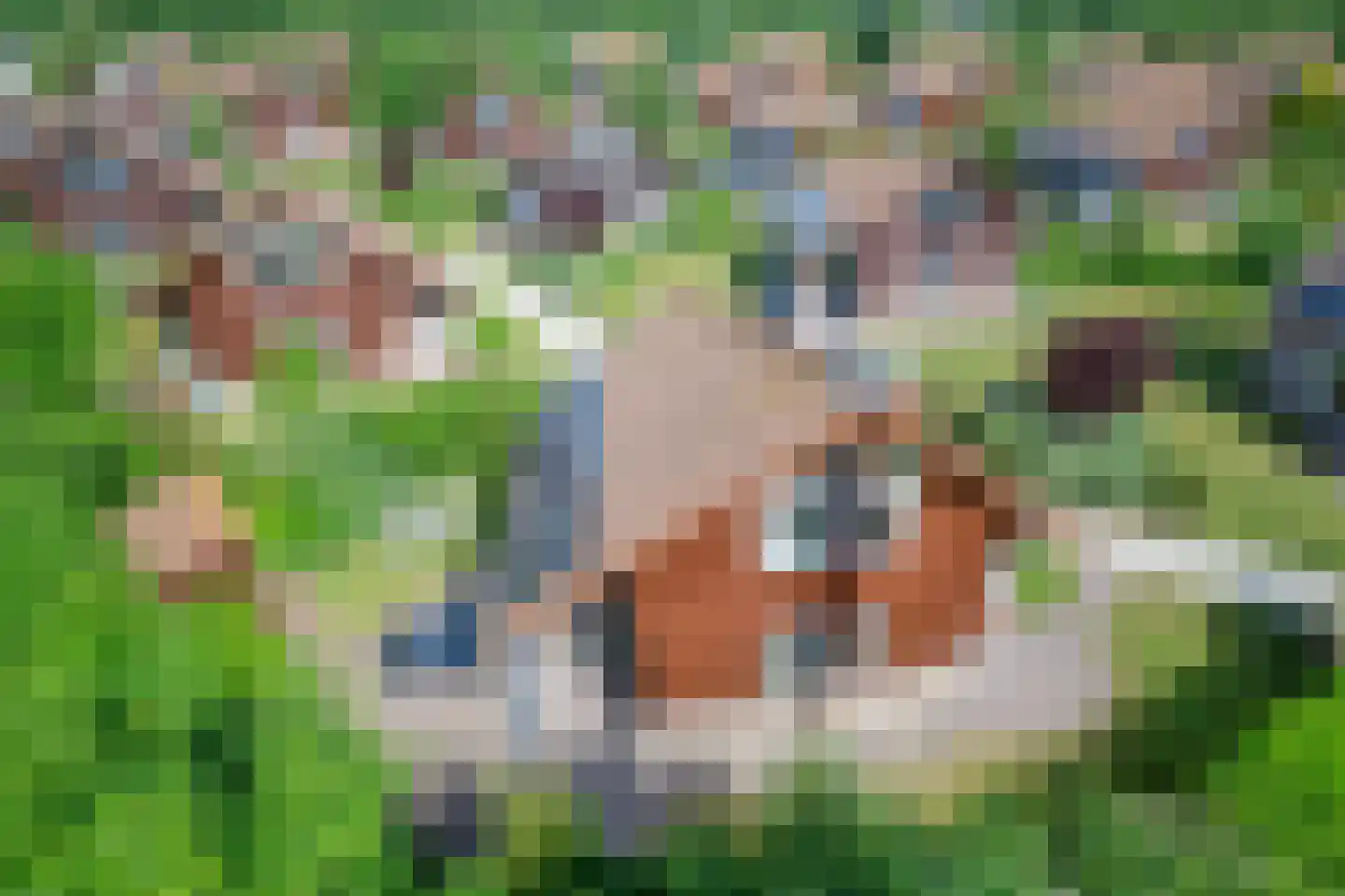 Grensweg 424 Den Burg thumbnail 24
