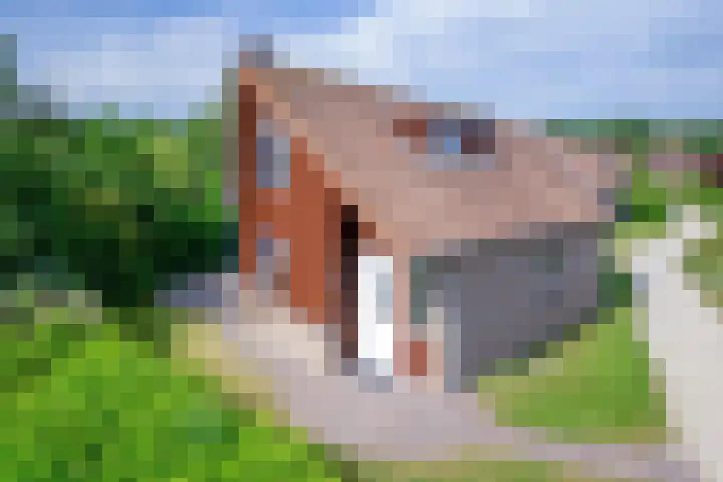Grensweg 424 Den Burg thumbnail 25