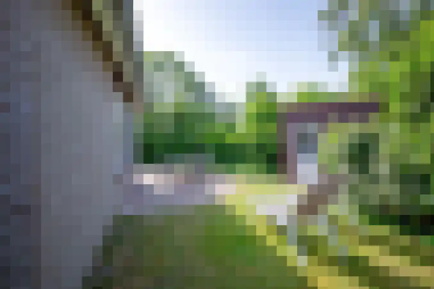 Grensweg 424 Den Burg thumbnail 31