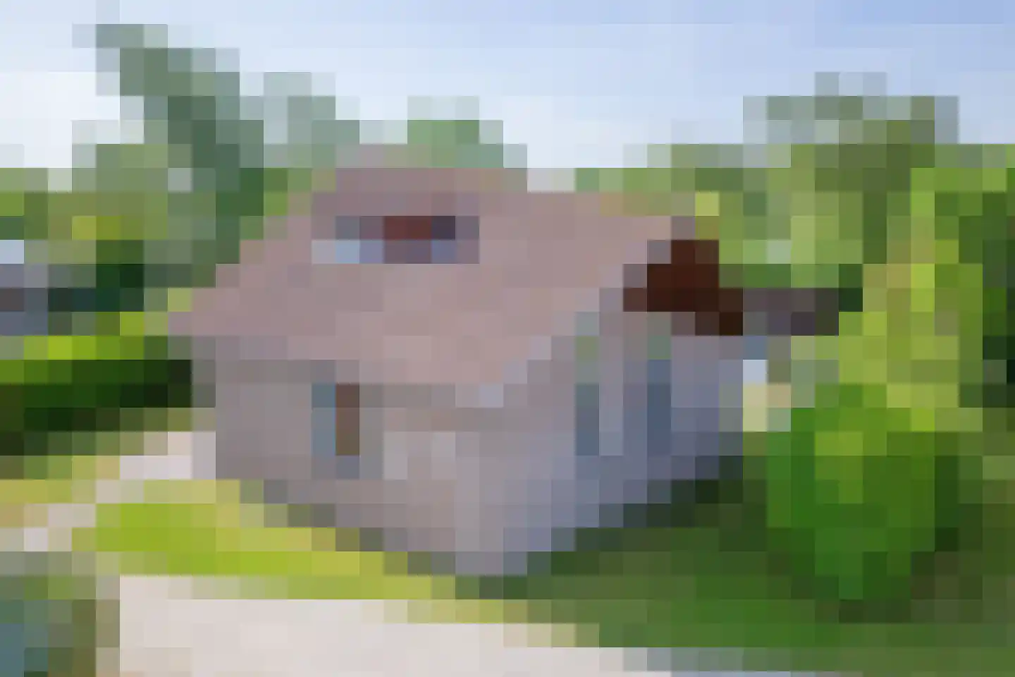 Grensweg 424 Den Burg thumbnail 33