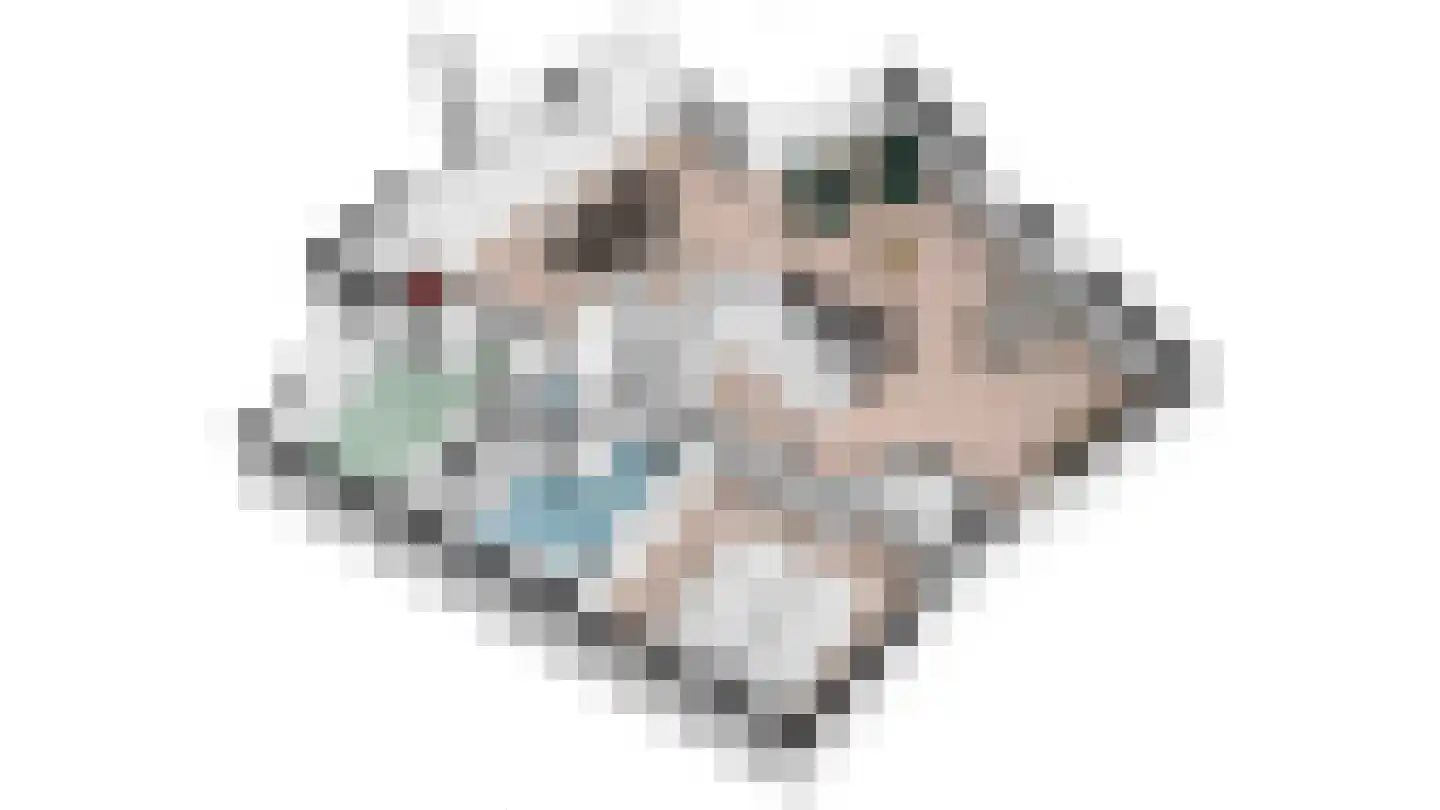Grensweg 424 Den Burg thumbnail 39