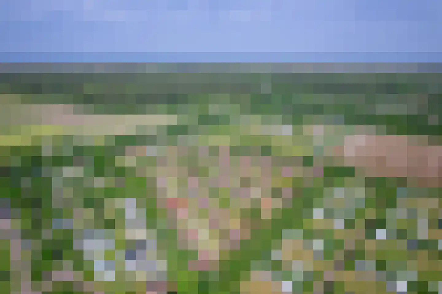 Grensweg 424 Den Burg thumbnail 4