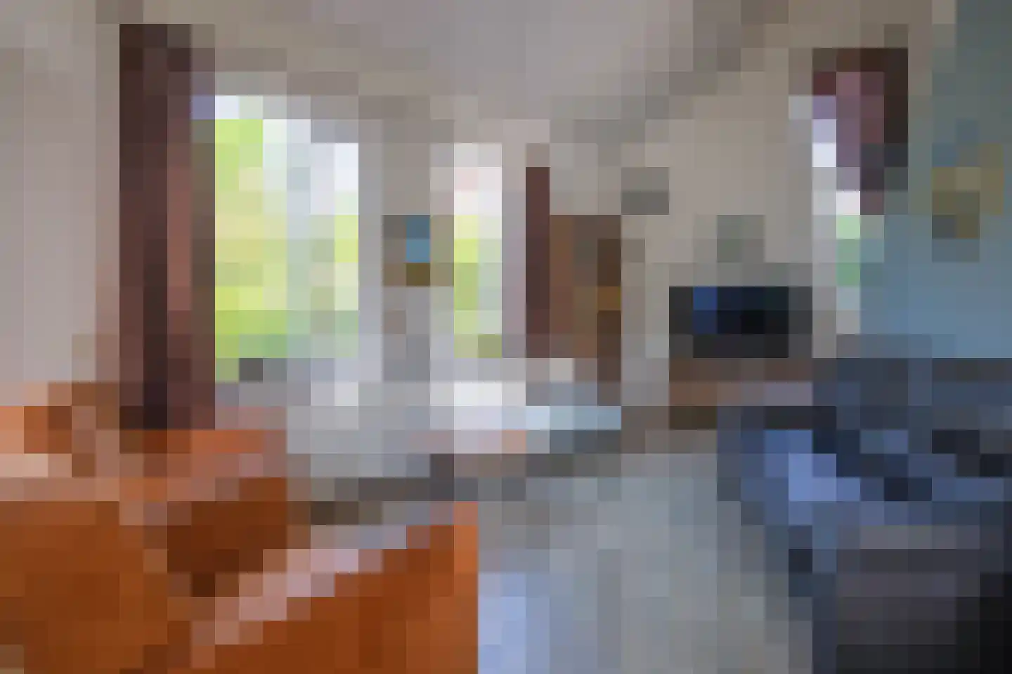 Grensweg 424 Den Burg thumbnail 5