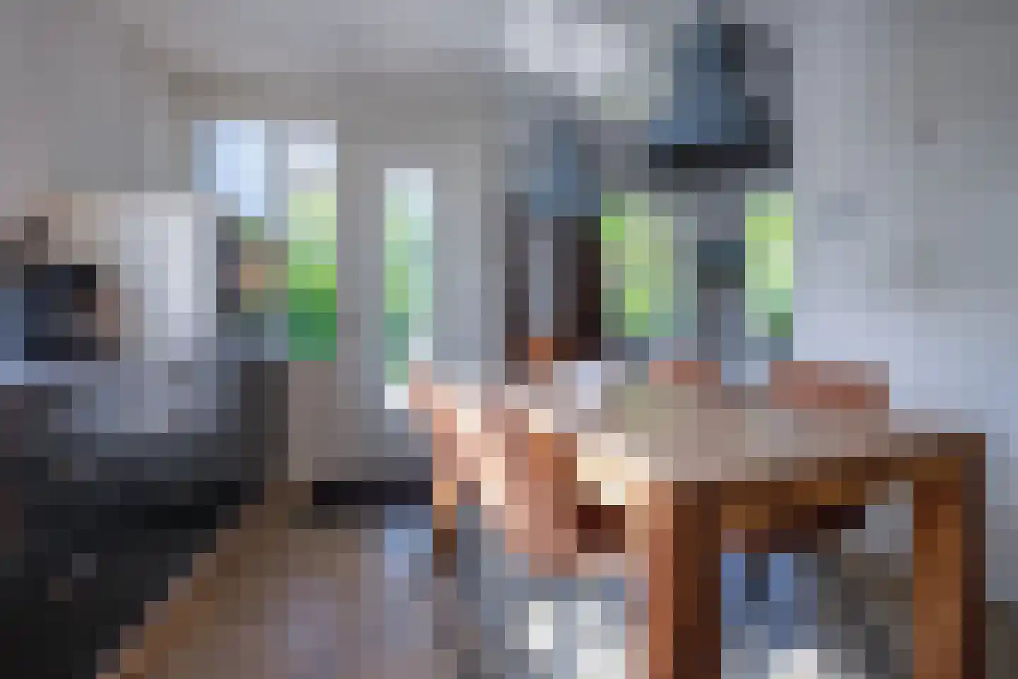 Grensweg 424 Den Burg thumbnail 9