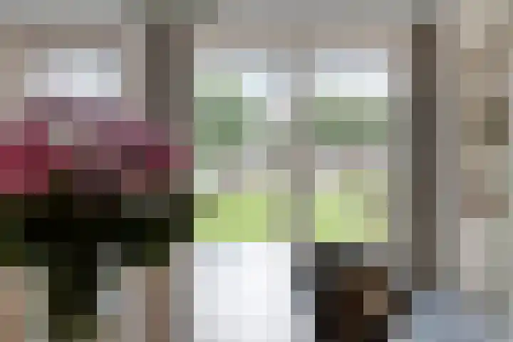 Grensweg 5 Gastel thumbnail 16
