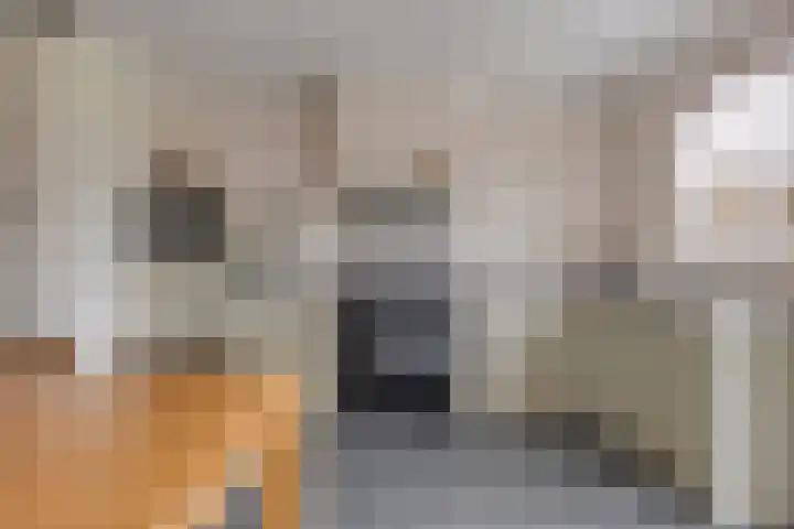 Grensweg 5 Gastel thumbnail 18