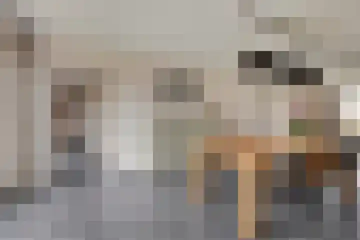 Grensweg 5 Gastel thumbnail 20