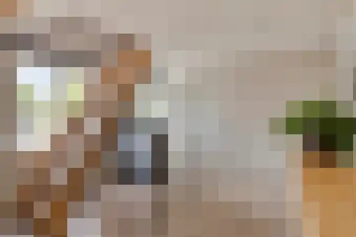 Grensweg 5 Gastel thumbnail 22