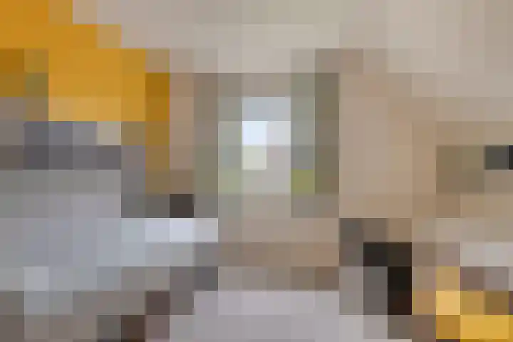Grensweg 5 Gastel thumbnail 29