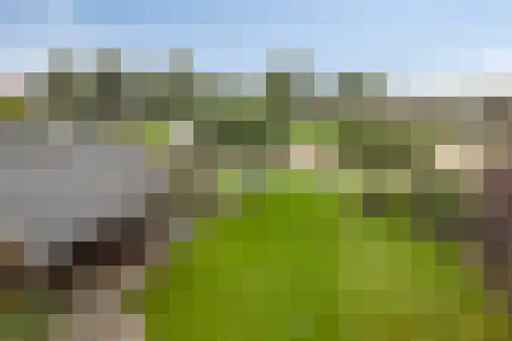 Grensweg 5 Gastel thumbnail 36
