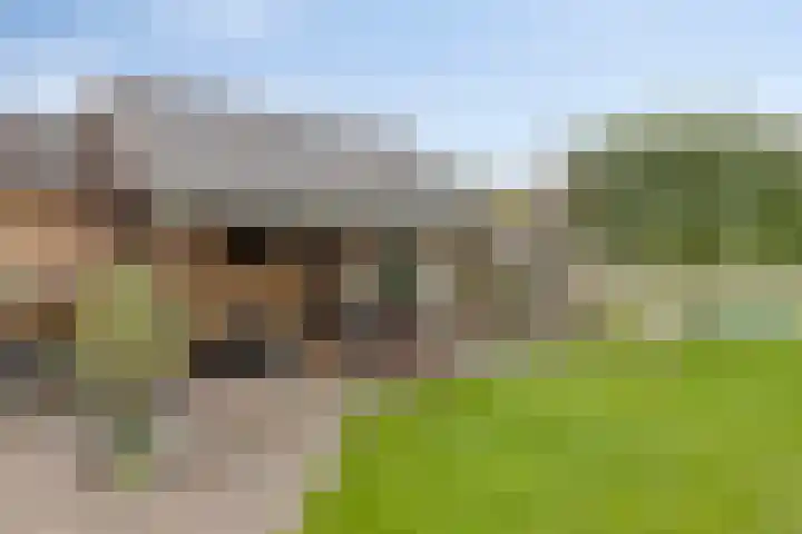 Grensweg 5 Gastel thumbnail 39