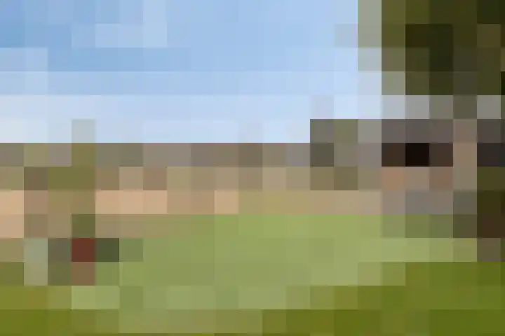 Grensweg 5 Gastel thumbnail 41