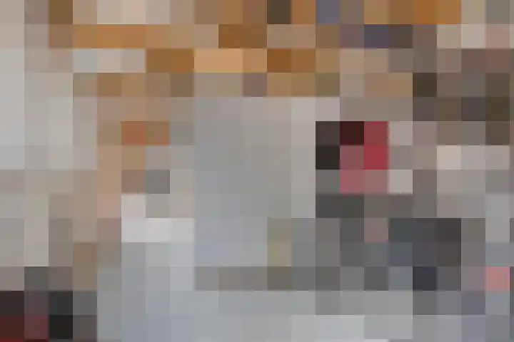 Grensweg 5 Gastel thumbnail 46