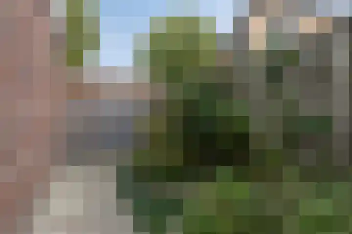 Grensweg 5 Gastel thumbnail 51