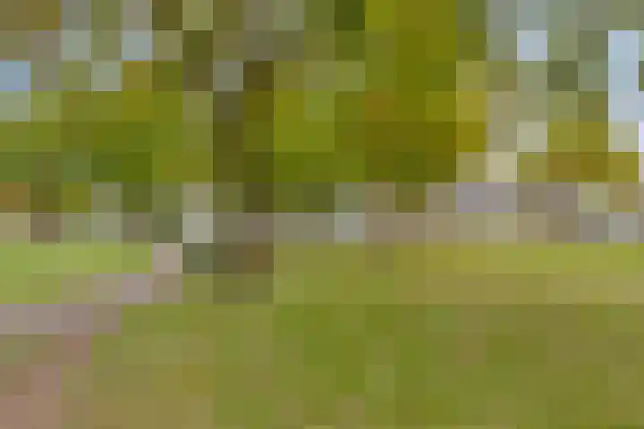 Grensweg 5 Gastel thumbnail 55